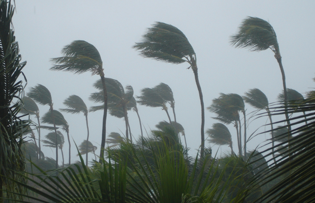 Tropical storm