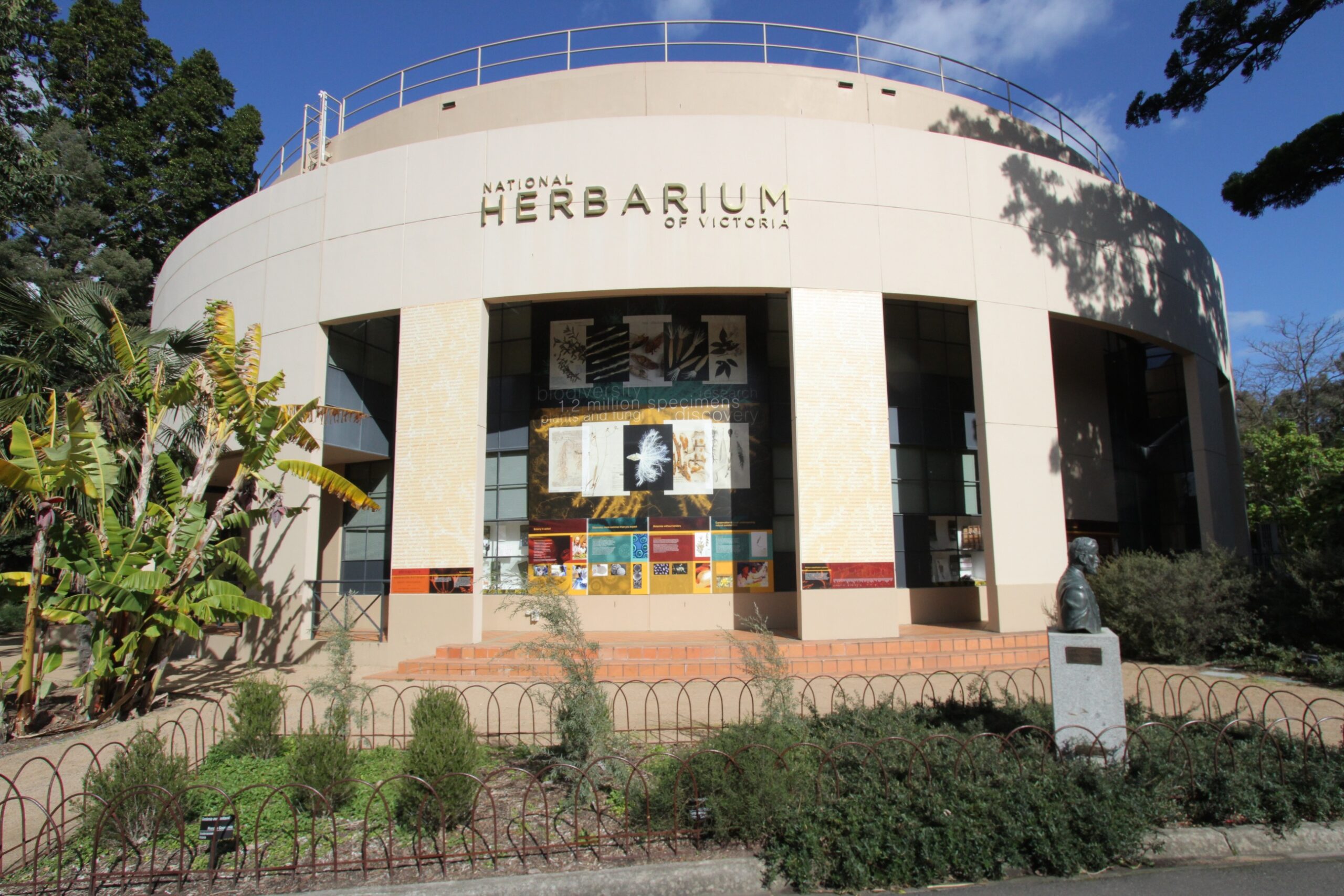 RBGV herbarium
