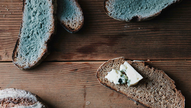 Blue bread and cheese