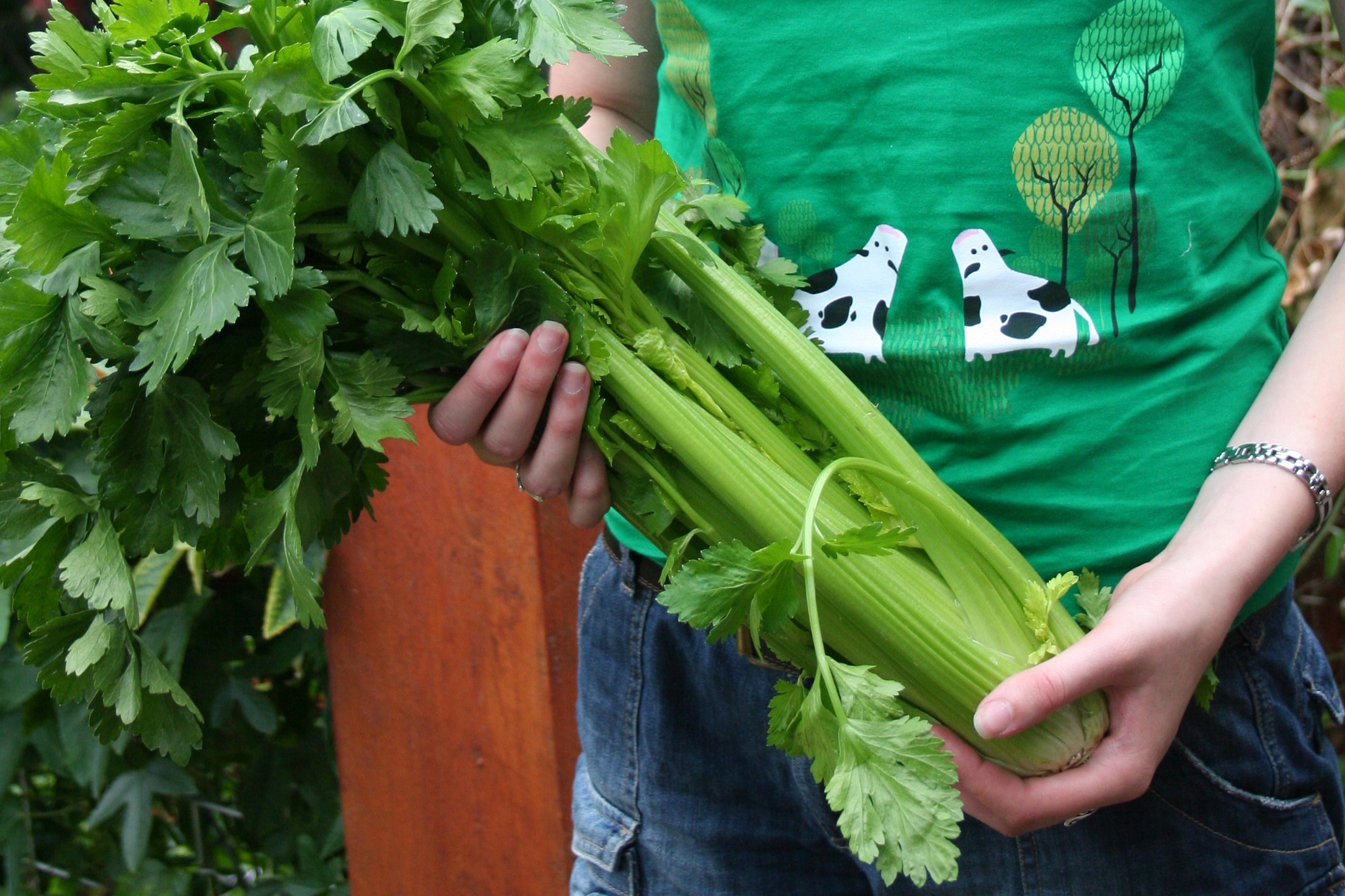 Celery Crunch