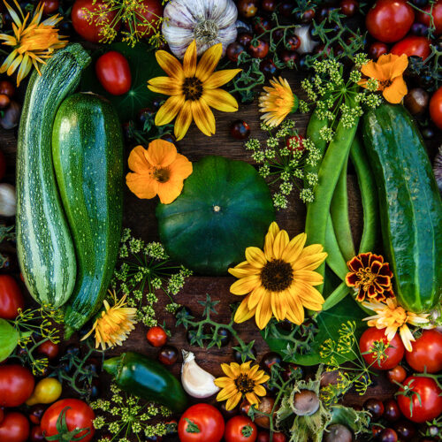 A collection of edible vegetables and flowers.