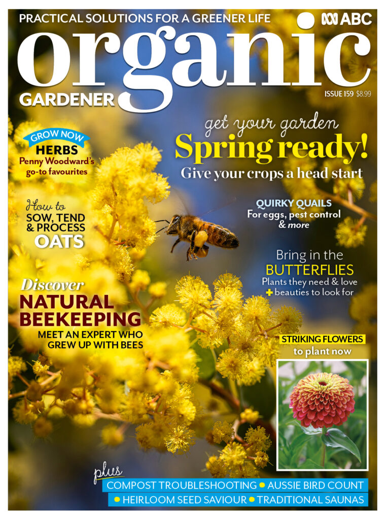 The Organic Gardener early spring issue cover with yellow wattle and a bee.
