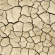 Soil solutions: dealing with clay