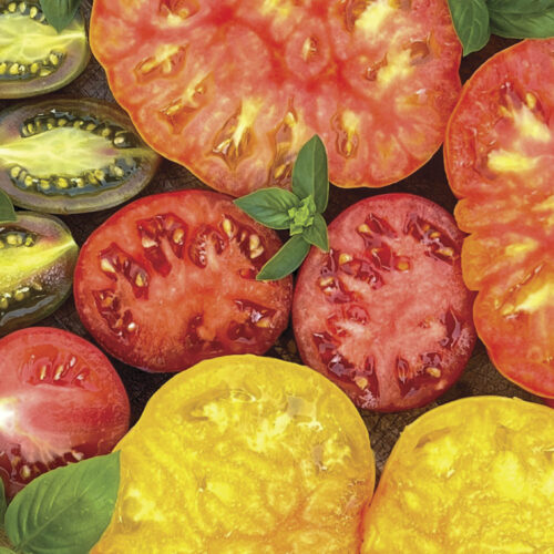 A variety of colourful cut tomatoes