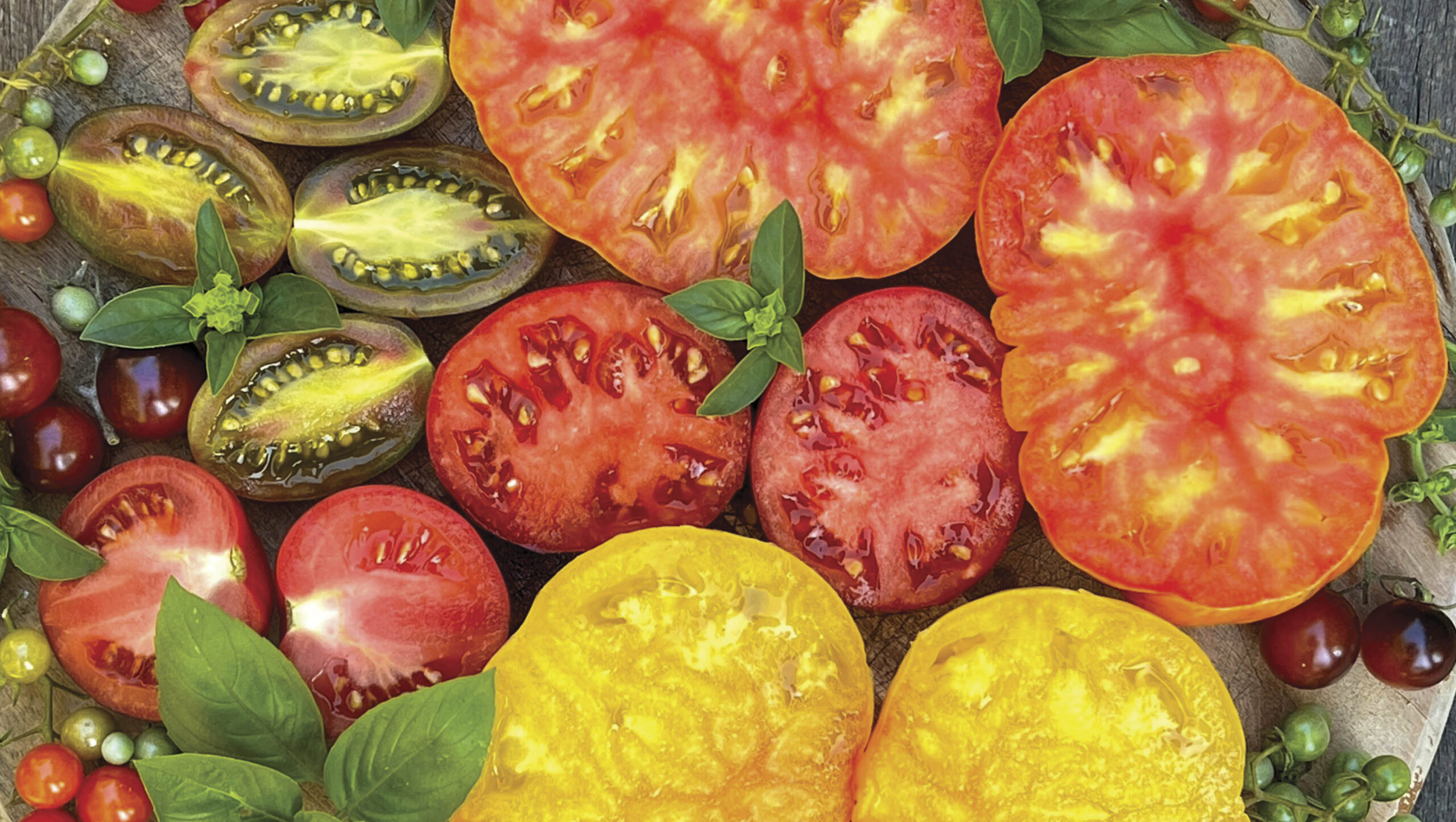 A variety of colourful cut tomatoes