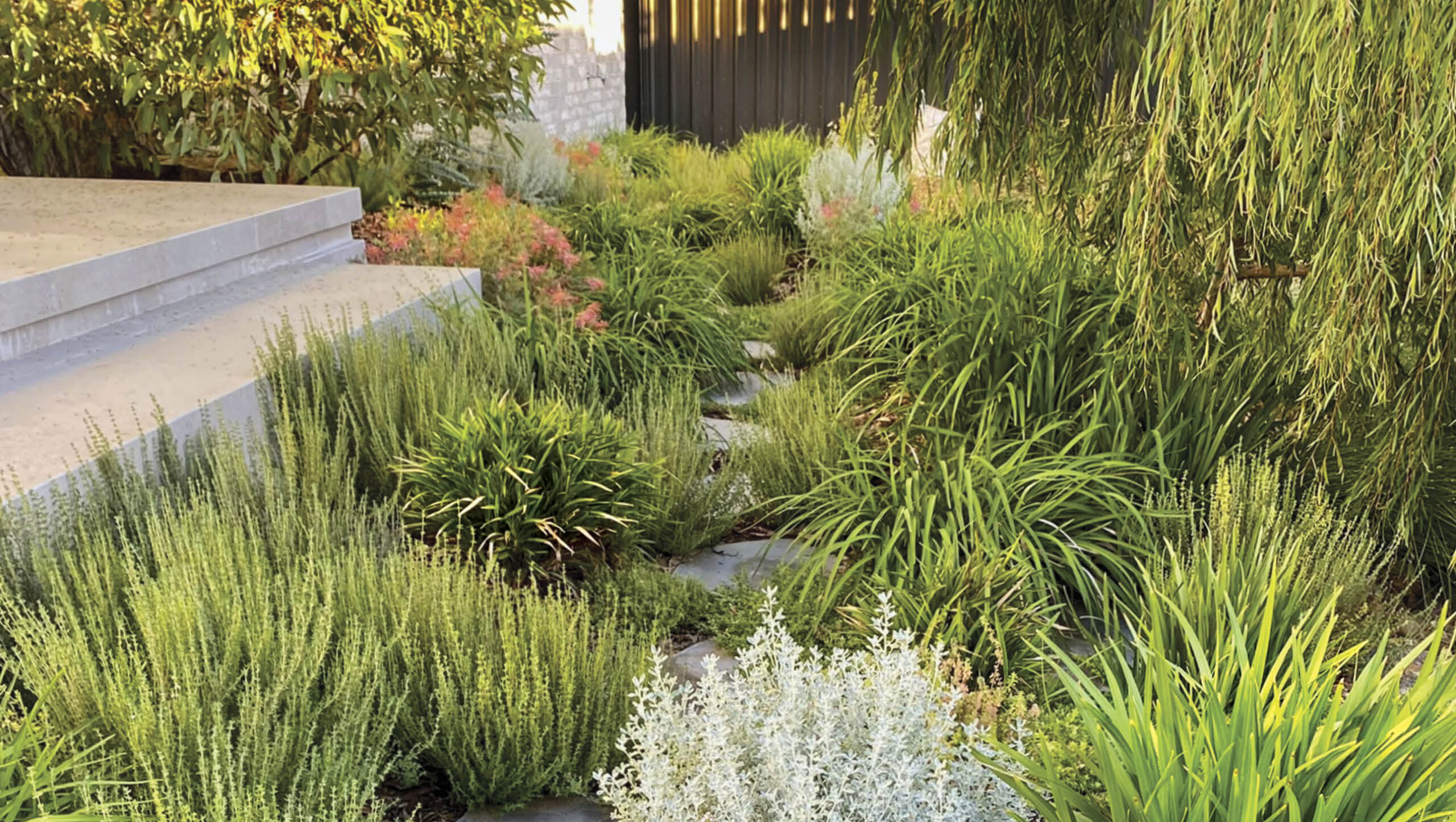 Designing a resilient garden A native garden in Western Australia.