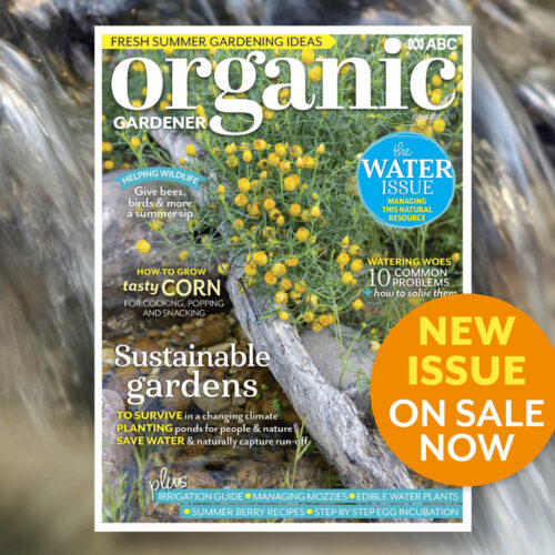 Dive into summer watering solutions with the help of our experts. ABC Organic Gardener Early Summer 2025 issue