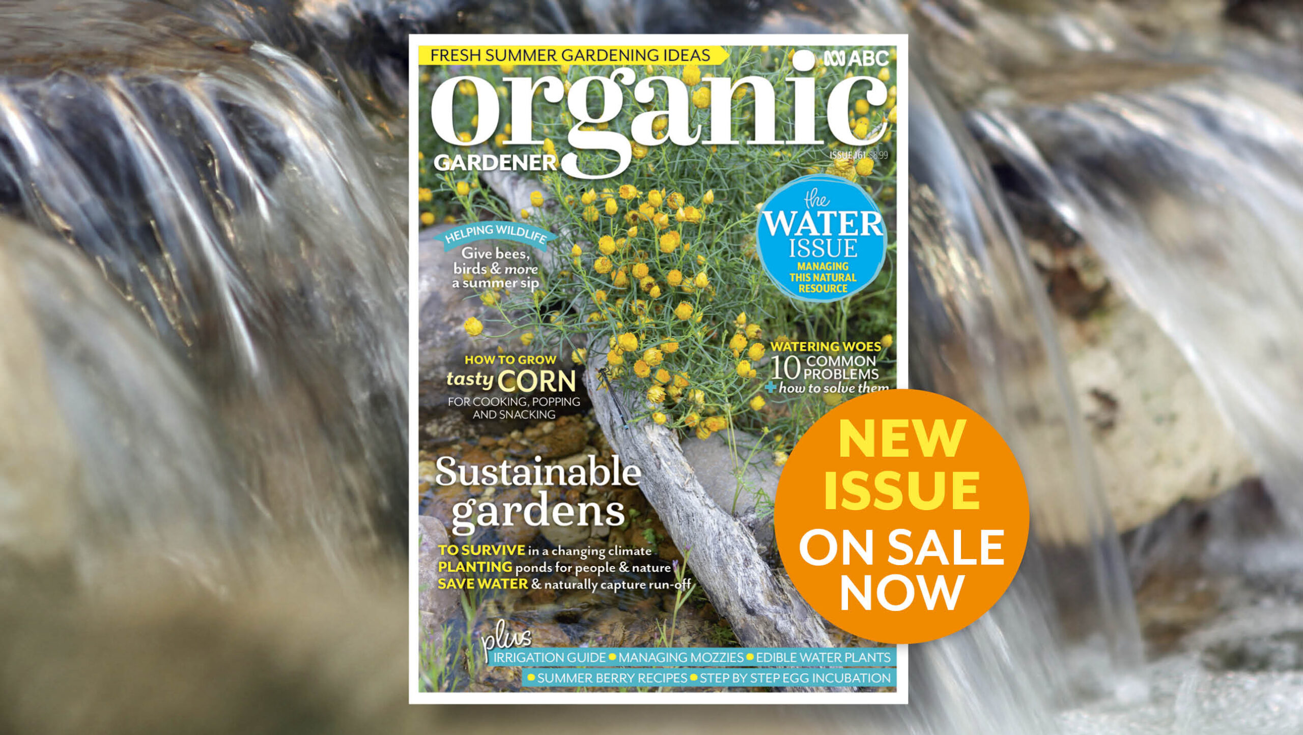 Dive into summer watering solutions with the help of our experts. ABC Organic Gardener Early Summer 2025 issue