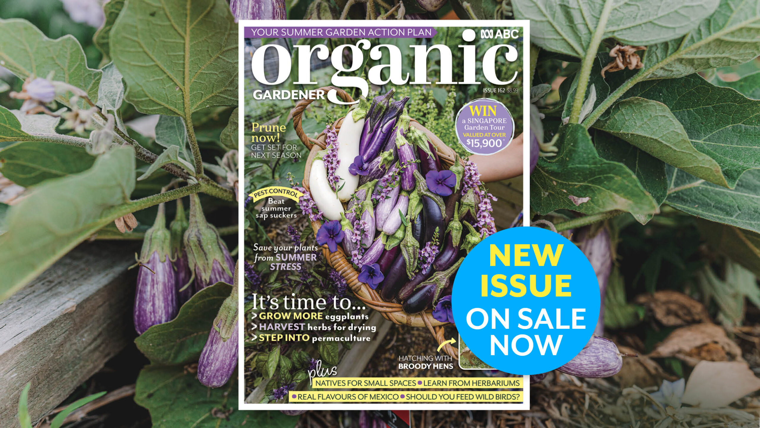 Organic Gardener issue 162