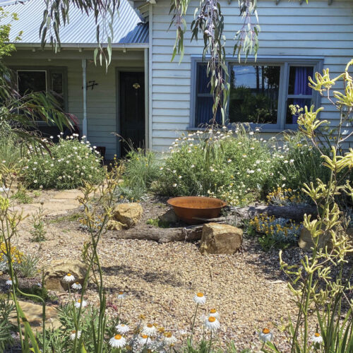 Melbourne garden with a gravel base that helps manage water.