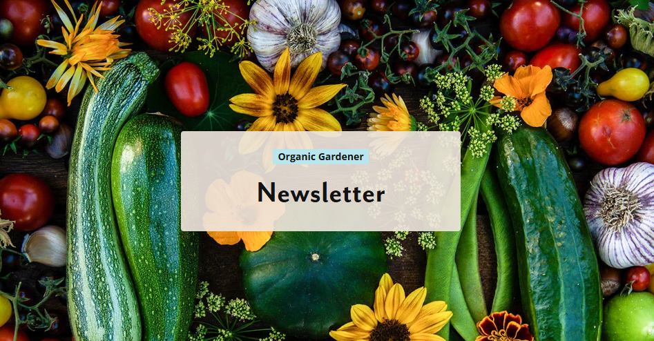 Join Our Newsletter