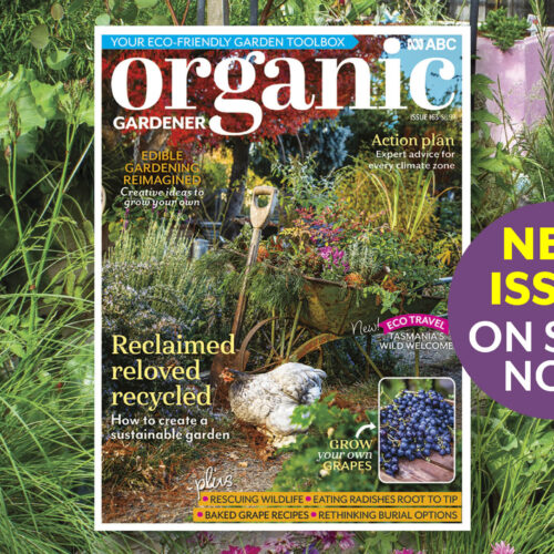 Reclaimed, reloved, recycled: How to create a sustainable garden