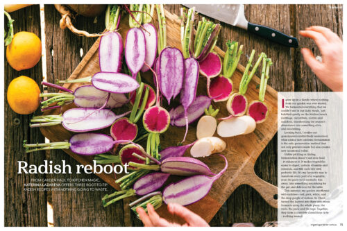 Radish recipes from OG 163