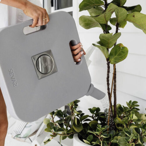 Sevas water catcher.