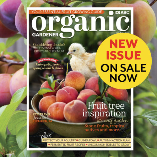 Organic Gardener Autumn issue 2026 on background with fruit on a branch