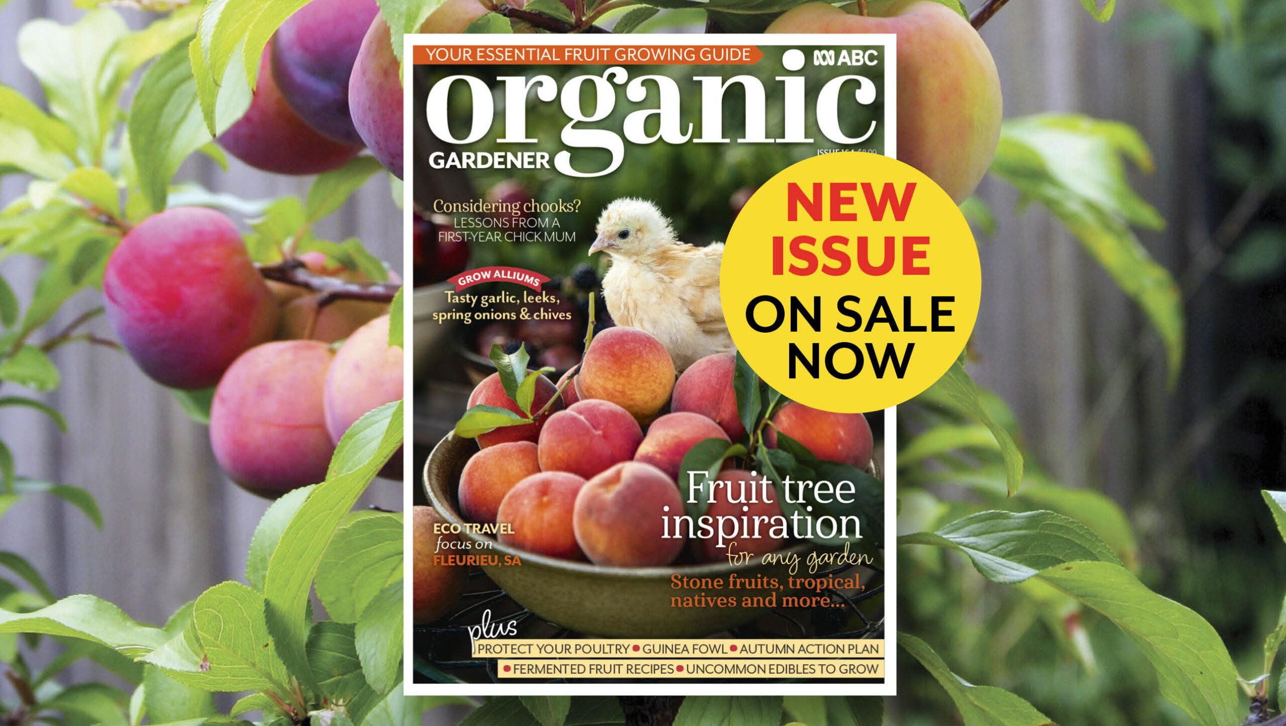 Organic Gardener Autumn issue 2026 on background with fruit on a branch