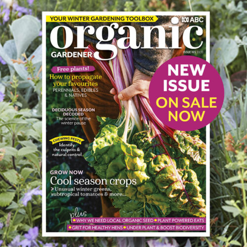 Early Winter 2026 issue cover places on top of native plant image.
