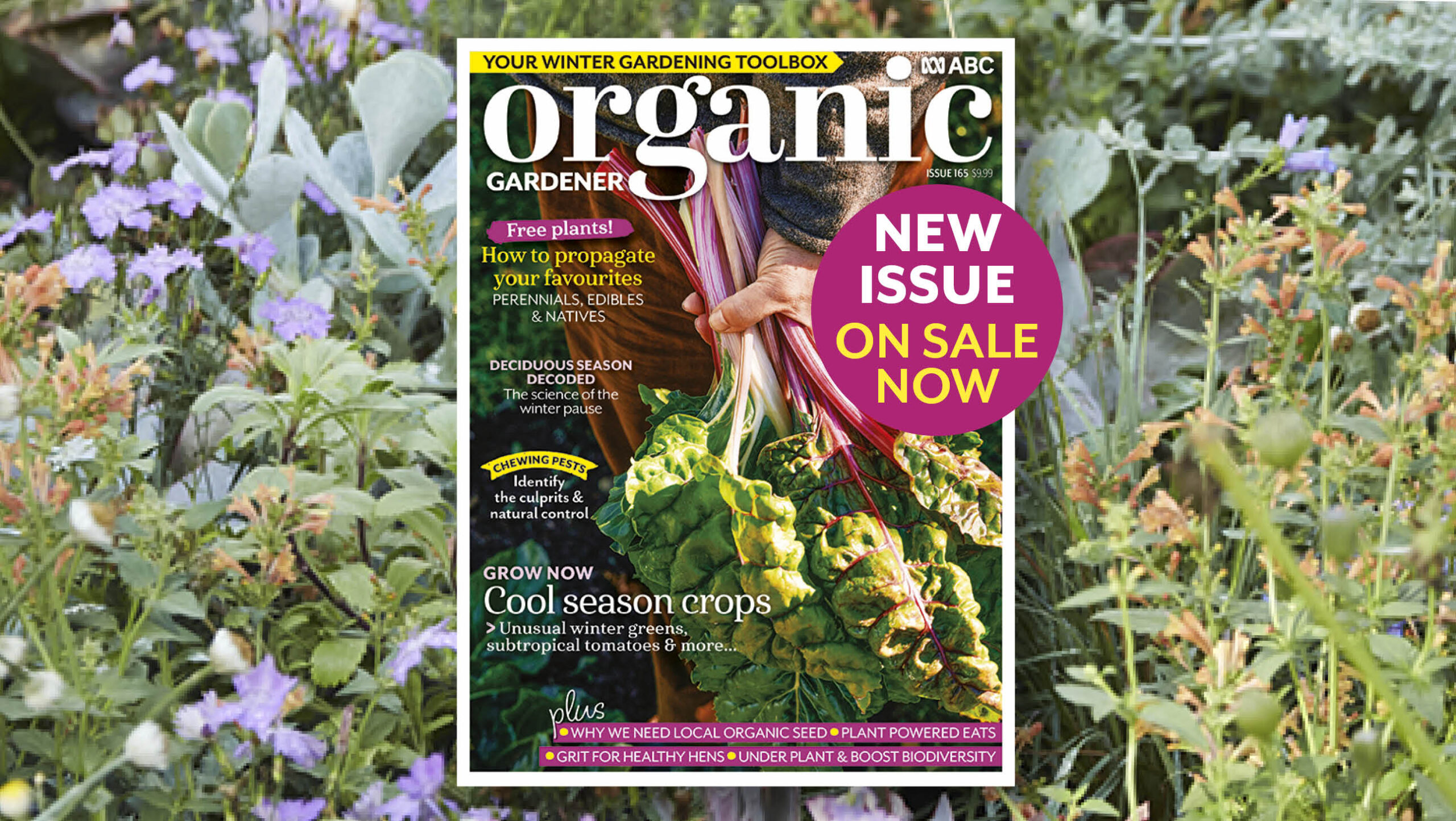 Early Winter 2026 issue cover places on top of native plant image.
