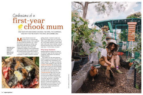 Spread from first year chook mum story in OG 166