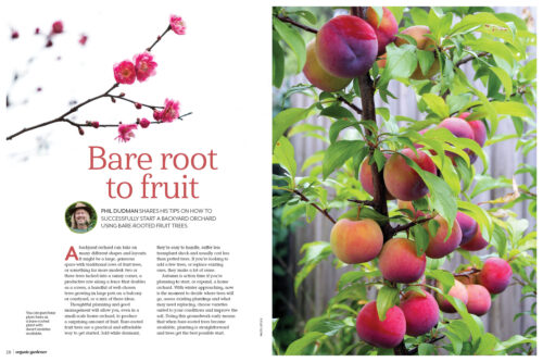 Spread from planning an orchard feature in OG 164