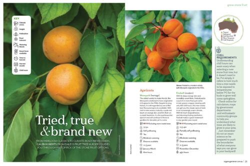 Growing stone fruit feature from OG 