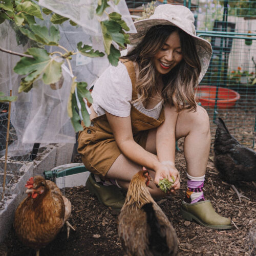 Connie Cao with some of her chooks in her backyard.