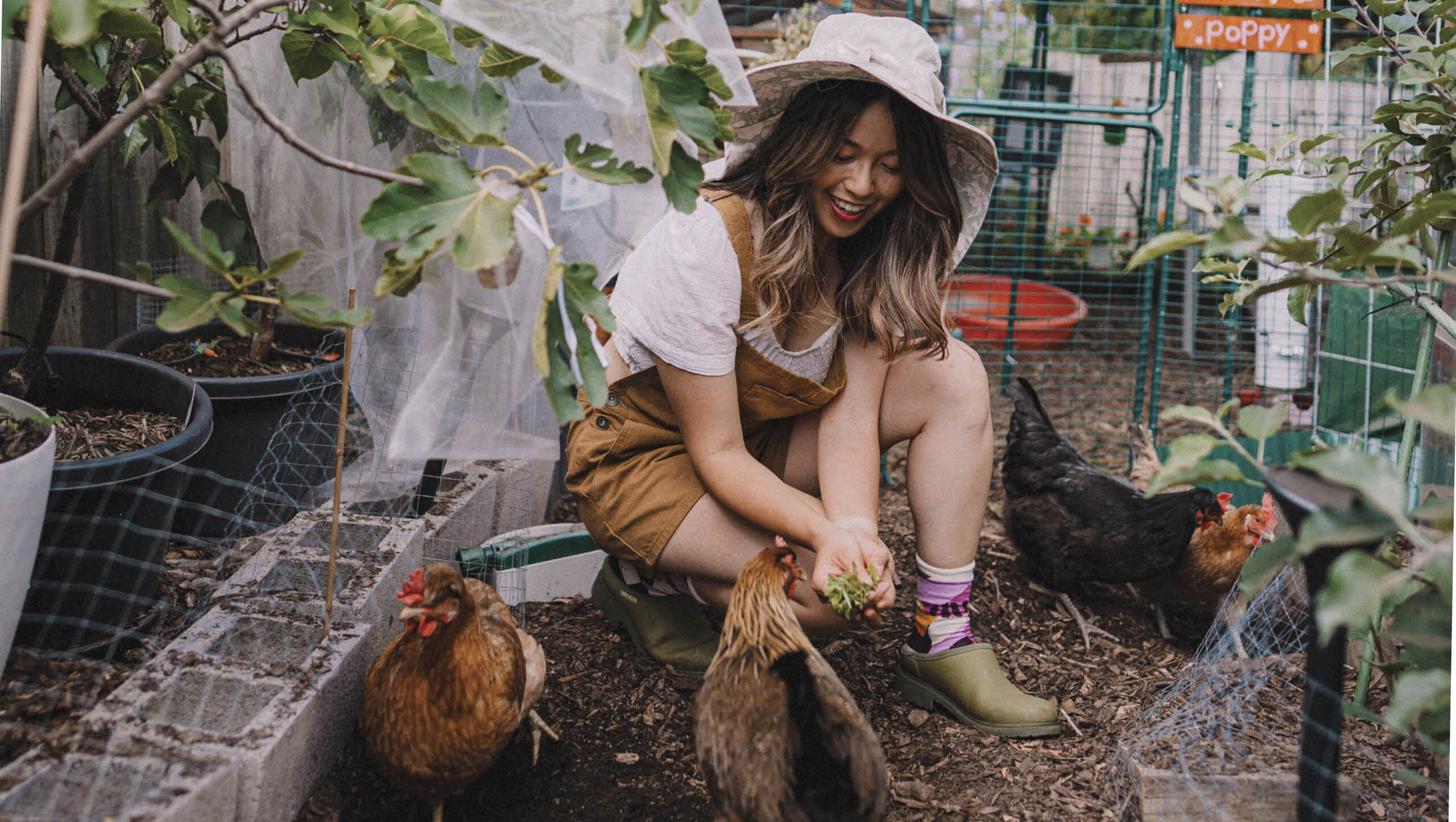 Connie Cao with some of her chooks in her backyard.