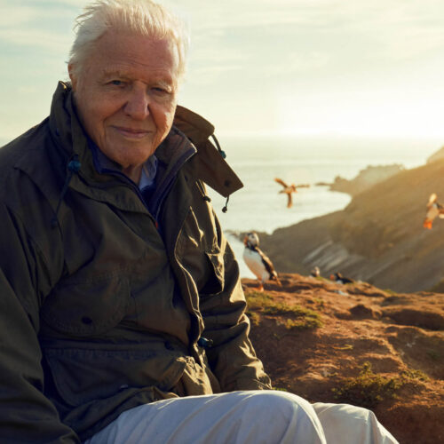 David Attenborough
