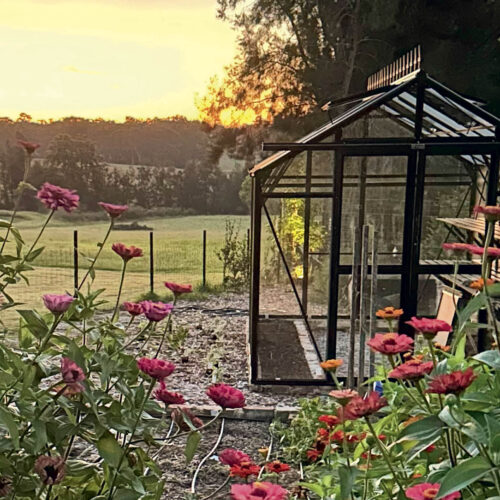 A glasshouse in a garden filled with flowers.