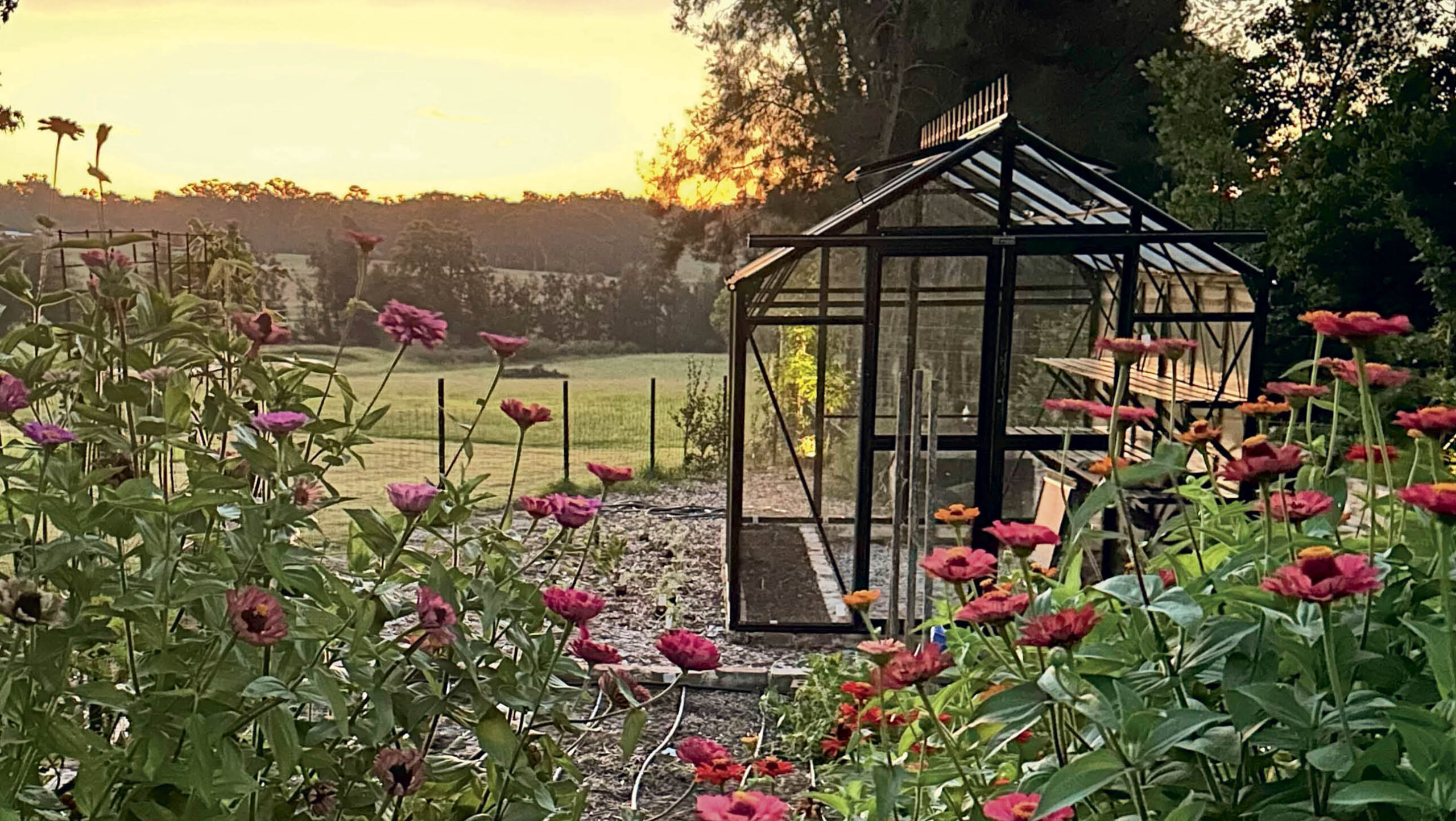 A glasshouse in a garden filled with flowers.