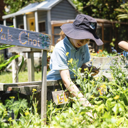 Two students from Stanmore Public School working in a garden bed