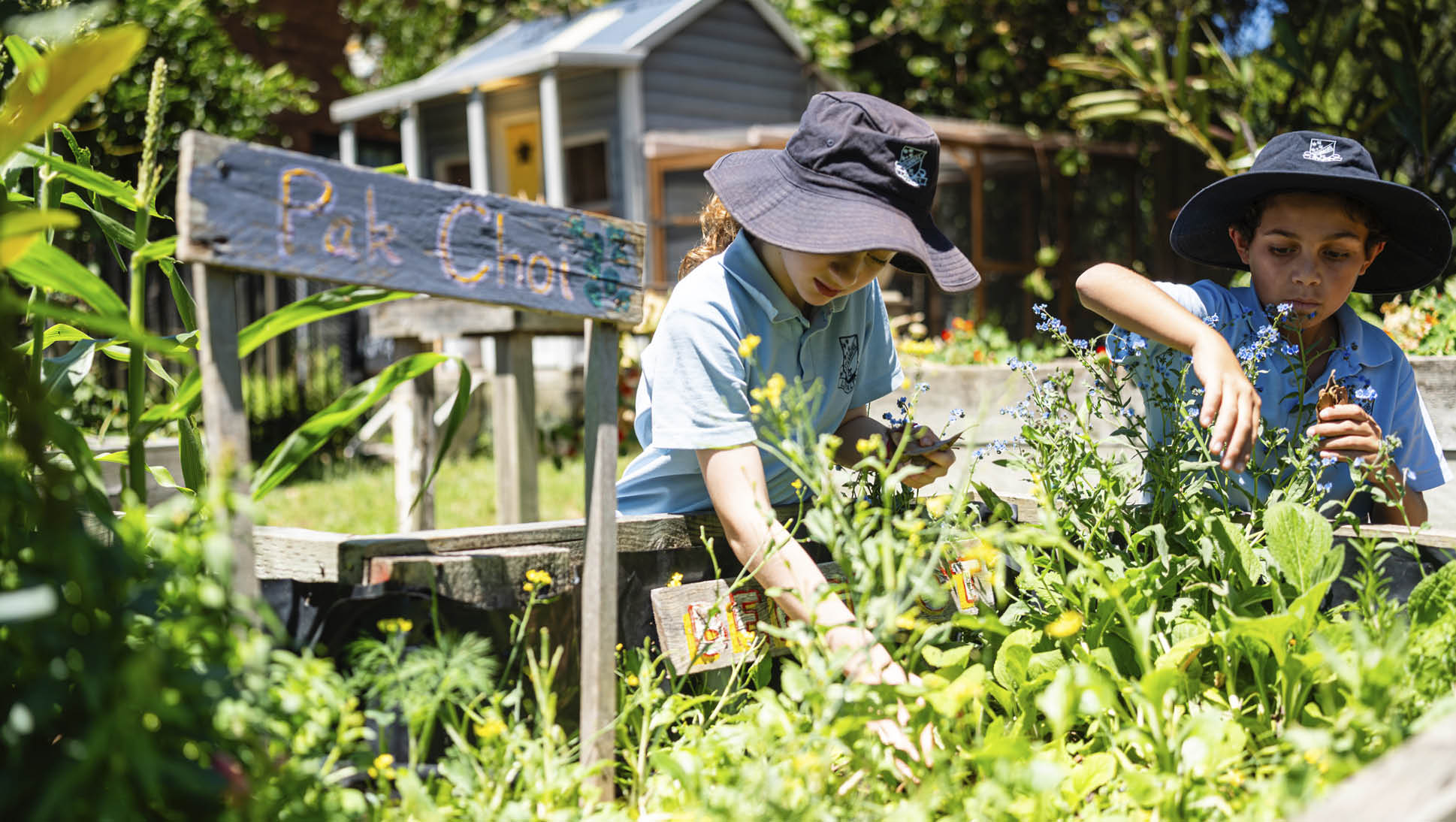 Two students from Stanmore Public School working in a garden bed
