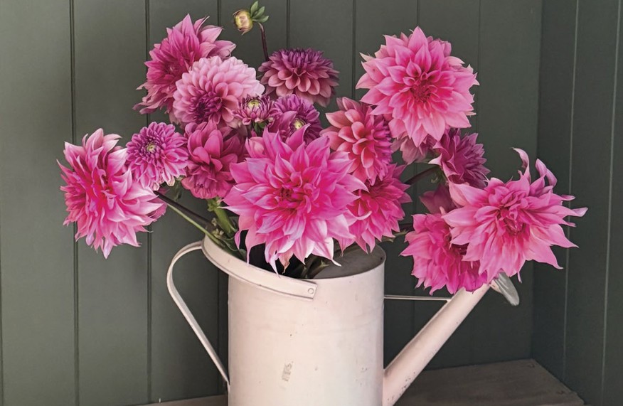 In conversation: Plum Tree Floral Farm – life in full flower