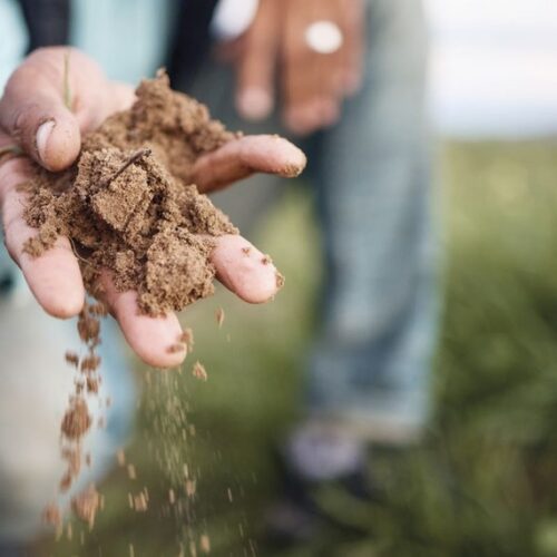 Sandy soil running through a hand