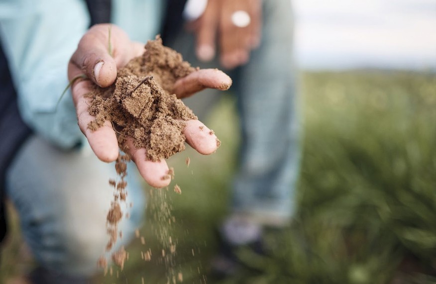 Sandy soil running through a hand