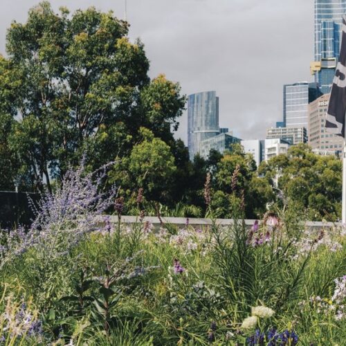 The Laak Boorndap rooftop garden in Melbourne.