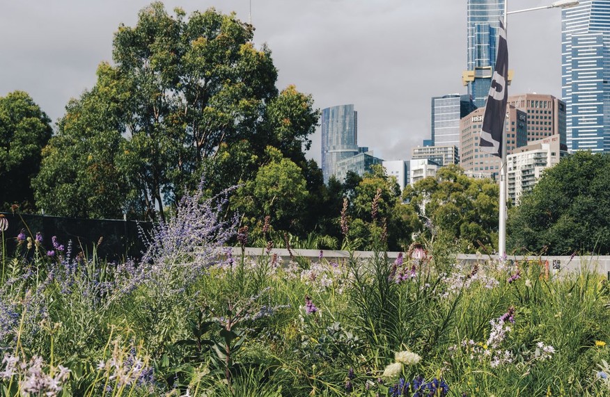 The Laak Boorndap rooftop garden in Melbourne.