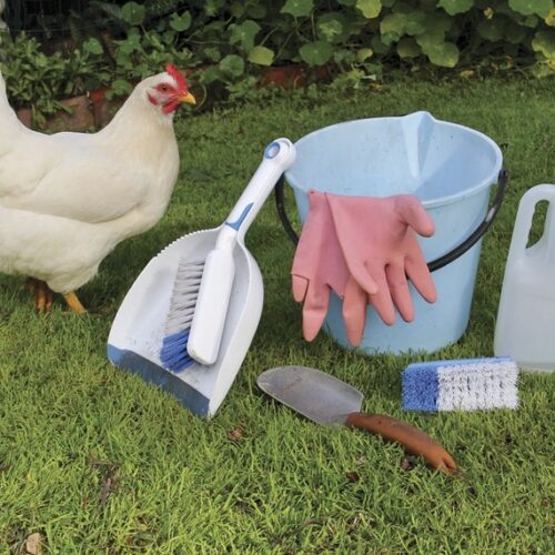Your spring chick-list: get your henhouse ready