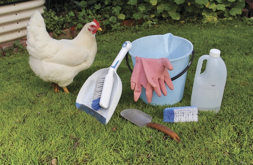 Your spring chick-list: get your henhouse ready