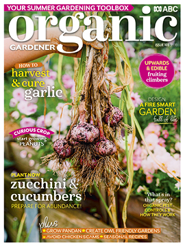 ABC Organic Gardener Early Spring 2026 cover, featuring a hand holding freshly harvested garlic.