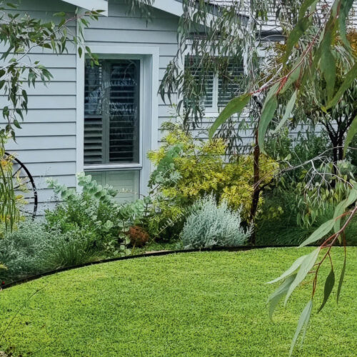 A green lawn in front of a weatherboard house with trees around the edges.