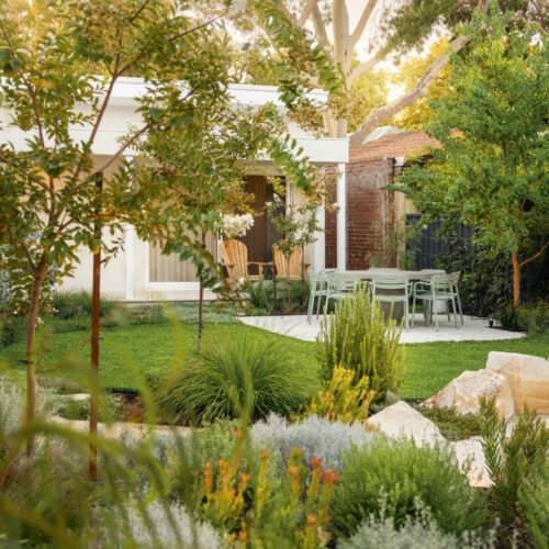 An Australian backyard with a lush lawn in the centre, surrounded by native trees and bushes.