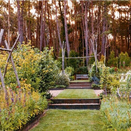 Terraced garden beds at Oak & Monkey Puzzle with rustic timber tripod supports, flowering perennials, a lawn path and timber steps leading to a bench under tall trees