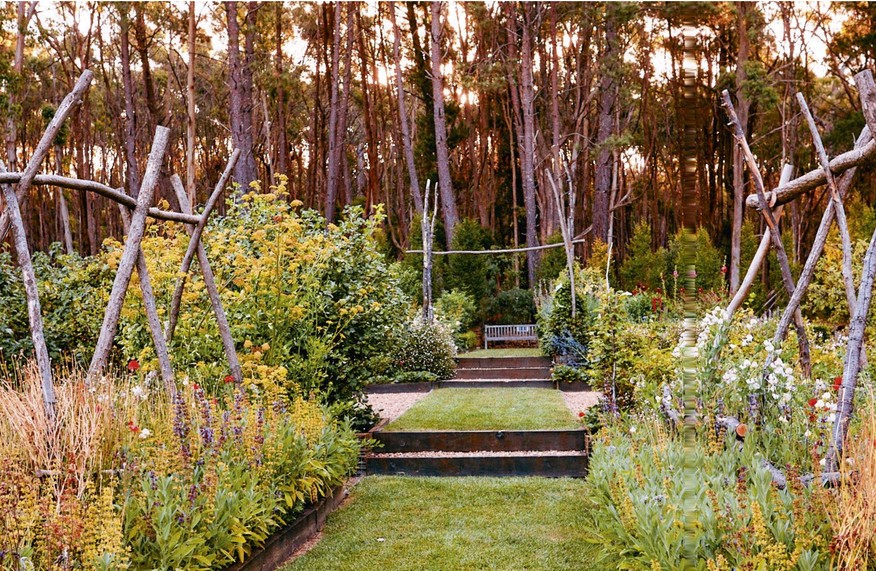 Terraced garden beds at Oak & Monkey Puzzle with rustic timber tripod supports, flowering perennials, a lawn path and timber steps leading to a bench under tall trees