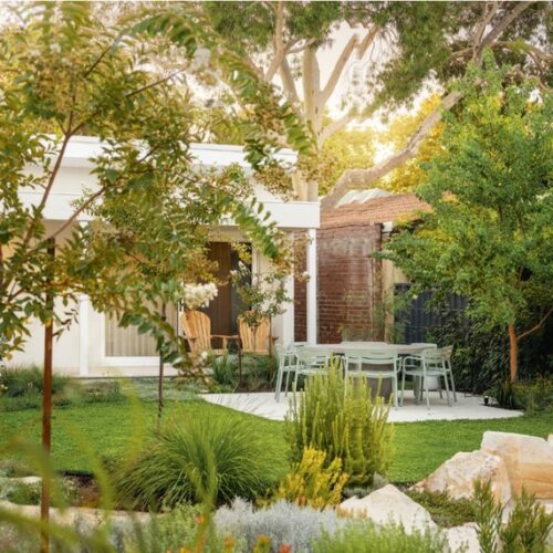 A small, lush green lawn in a Perth backyard framed by young open-canopied trees, native grasses and flowering shrubs, with timber chairs on a patio beyond