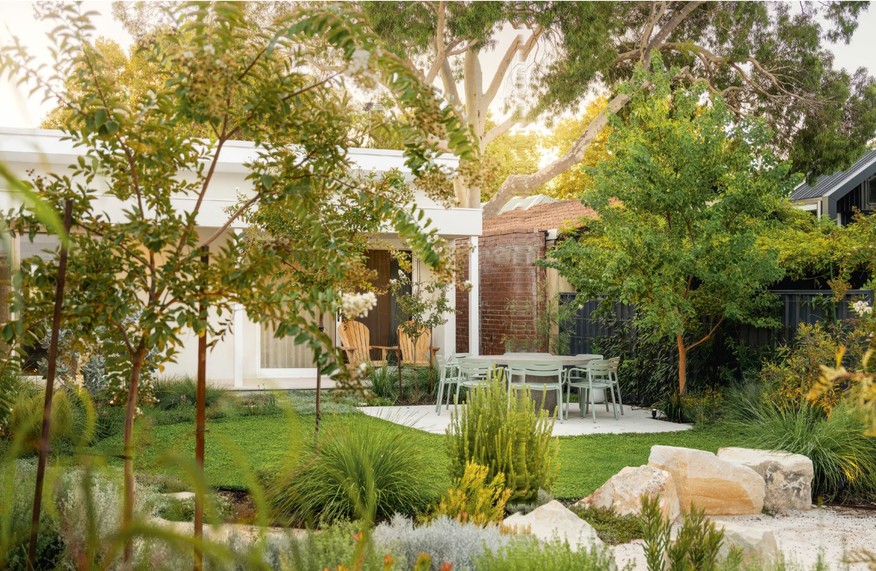 A small, lush green lawn in a Perth backyard framed by young open-canopied trees, native grasses and flowering shrubs, with timber chairs on a patio beyond