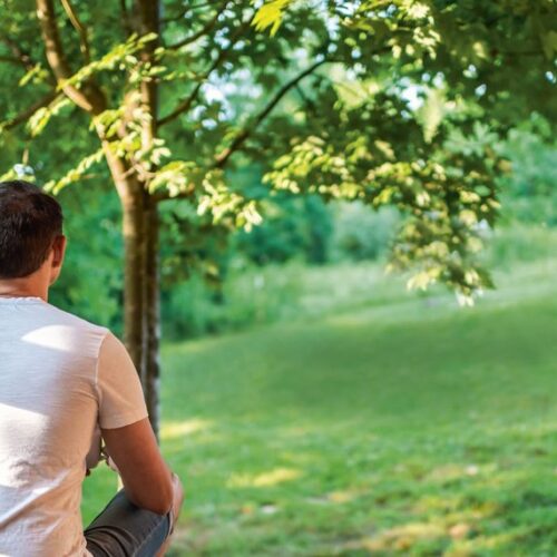 A man in a white T-shirt sits looking out over a sunlit green lawn shaded by trees
