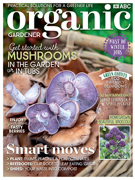 OG 141 cover_Helen McKerral