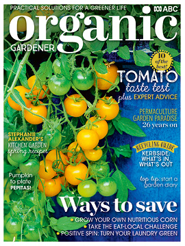 OG 144 cover