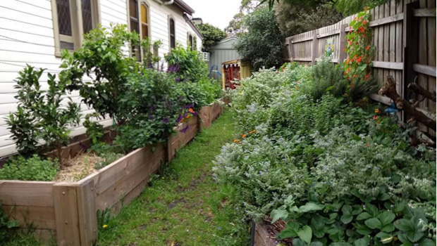 The Hills Food Frontier garden raised beds